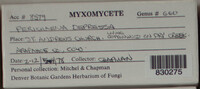 Image Associated With the Occurence
